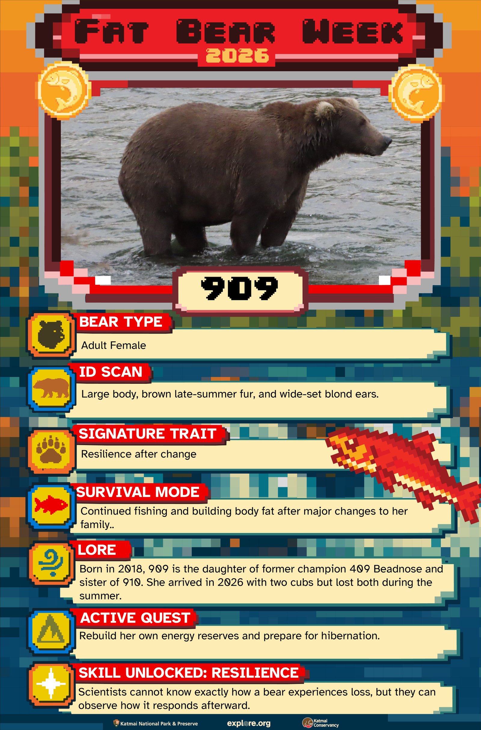 description of 909