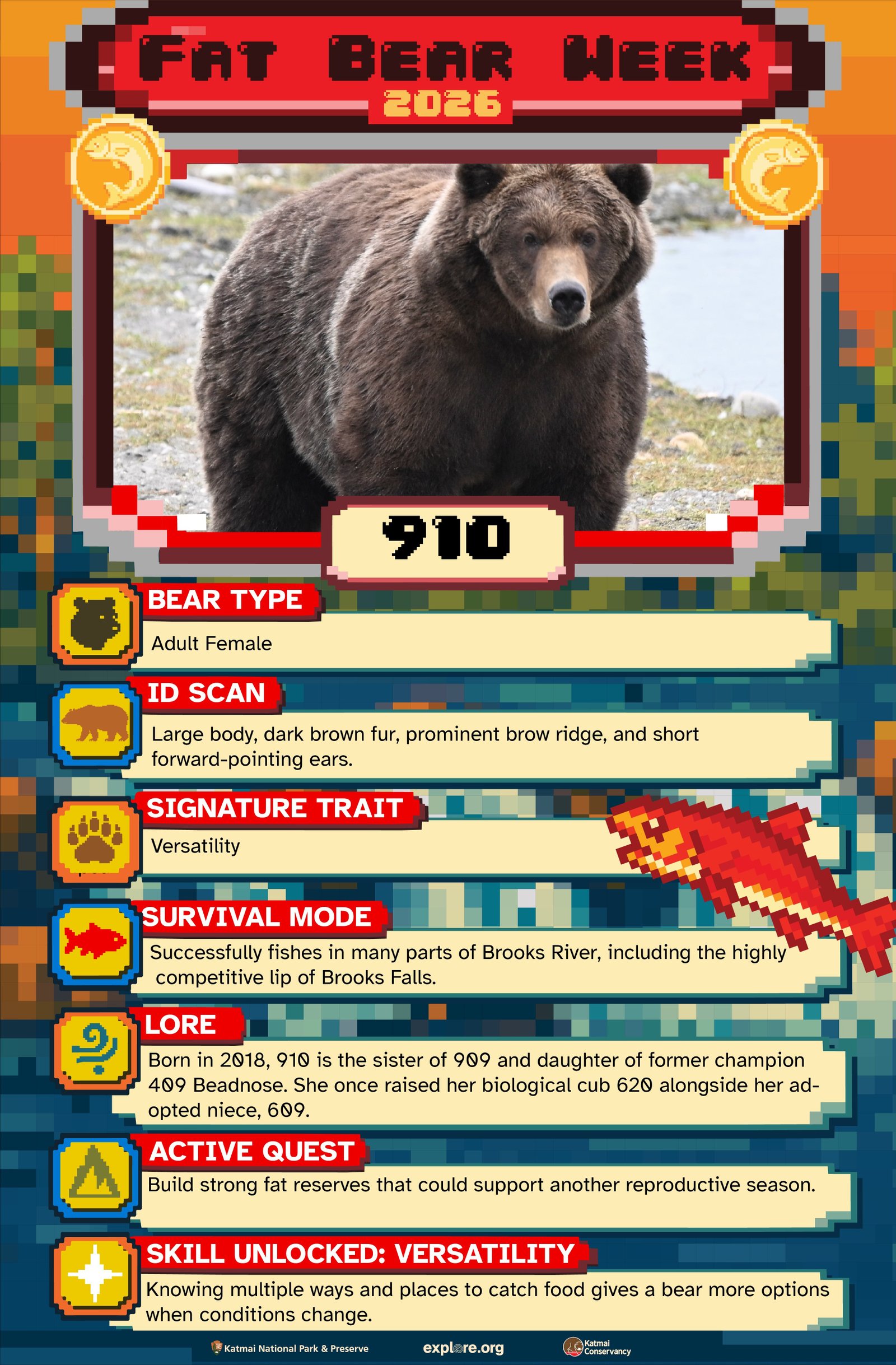 description of 910