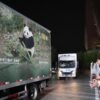 2 giant pandas set off to Atlanta zoo from China after Xi-Trump summit