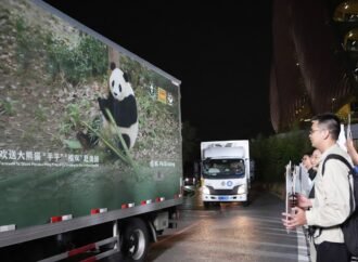 2 giant pandas set off to Atlanta zoo from China after Xi-Trump summit