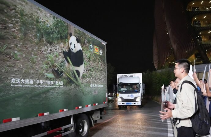 2 giant pandas set off to Atlanta zoo from China after Xi-Trump summit