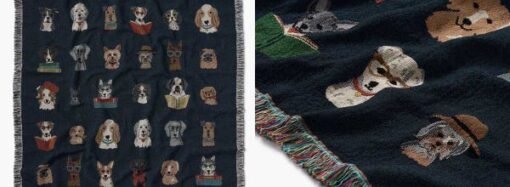 We tested 22 orthopedic dog beds, and these are the 6 best for older pups and joint pain