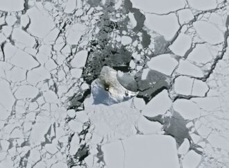 A Bright Spot at Mount Michael – NASA Science