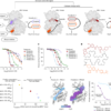 A design approach for bitopic kinase inhibitors – Nature