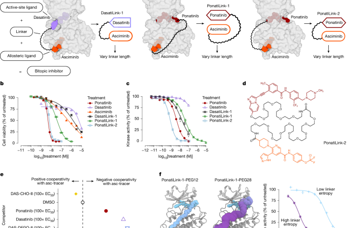 A design approach for bitopic kinase inhibitors – Nature