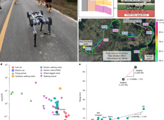 A quadruped robot designed to complete a marathon on a single battery charge – Nature