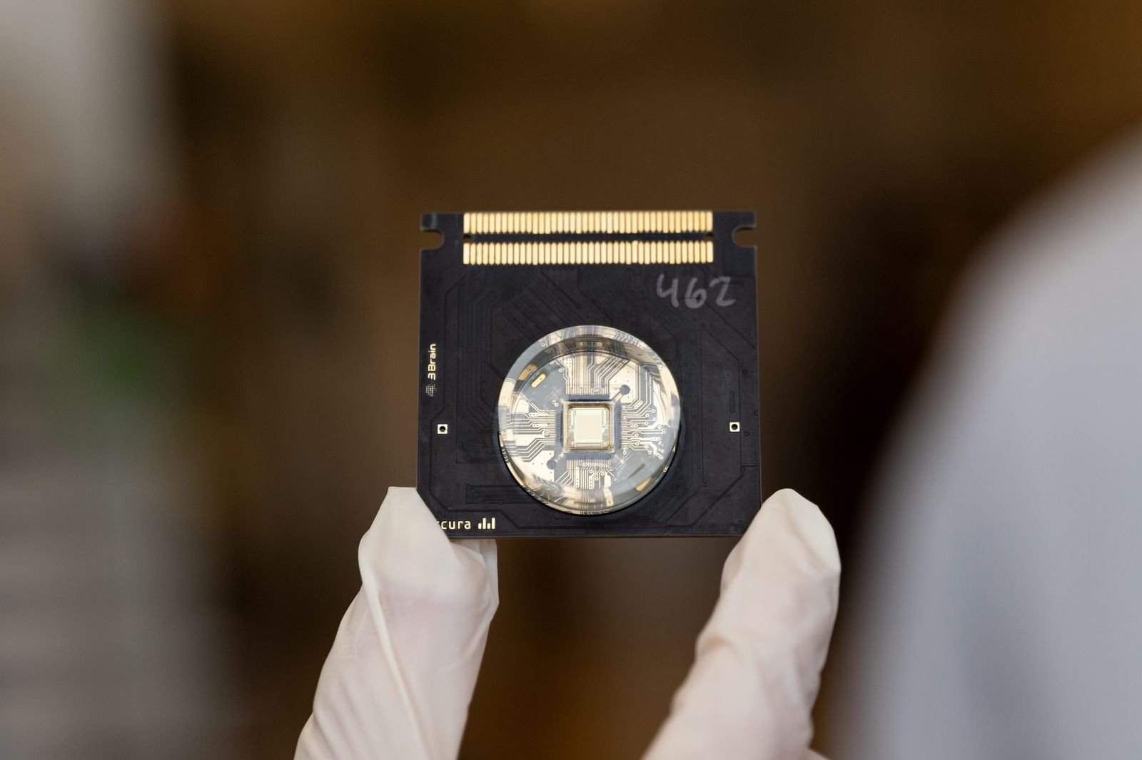 A microelectrode array  neuron chip.