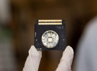 AI Models Built From Rat Brains Just Got Closer to Reality