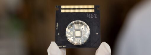AI Models Built From Rat Brains Just Got Closer to Reality