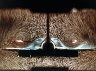 AI cracked the Navier–Stokes challenge. What does that mean for physics?