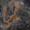 APOD: 2026 September 10 – LDN 1295: The Giraffe Nebula – NASA Science