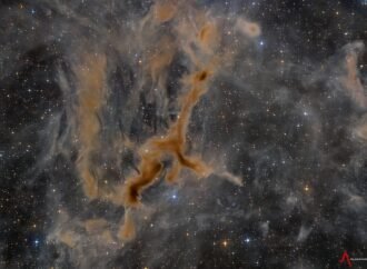 APOD: 2026 September 10 – LDN 1295: The Giraffe Nebula – NASA Science