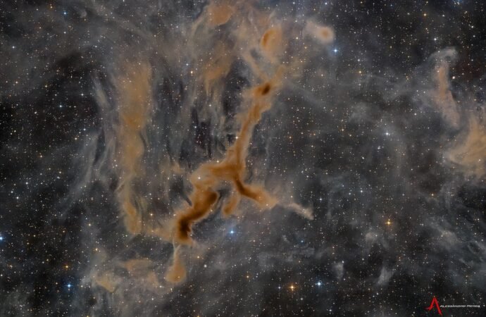 APOD: 2026 September 10 – LDN 1295: The Giraffe Nebula – NASA Science