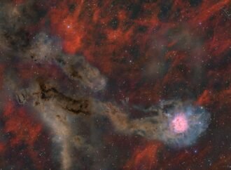 APOD: 2026 September 21 – Cocoon Nebula Wide Field – NASA Science