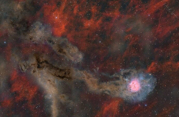 APOD: 2026 September 21 – Cocoon Nebula Wide Field – NASA Science