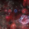 APOD: 2026 September 24 – The Ghosts of Five Supernovas – NASA Science