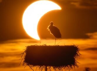 APOD: 2026 September 3 – The Eclipse and the Stork – NASA Science