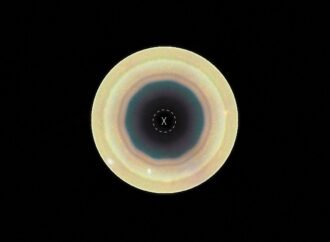 APOD: 2026 September 8 – Hubble: Decagon Around Saturn’s South Pole – NASA Science