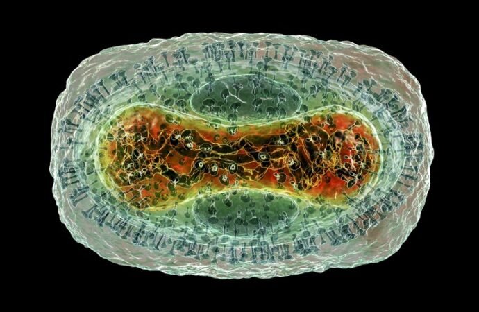 AlphaFold ‘goes viral’: database adds protein complexes of common viruses