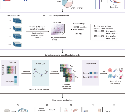 An operational perturbation proteomics-based virtual cell model – Nature