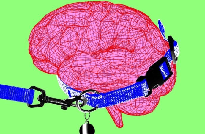 Anthropic CEO says it’s time to pump the brakes on AI
