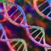 Anthropic’s AI biolab finds ‘CRISPR-like’ DNA in viruses. What’s next?