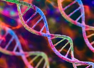 Anthropic’s AI biolab finds ‘CRISPR-like’ DNA in viruses. What’s next?