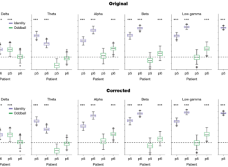 Author Correction: Plasticity and language in the anaesthetized human hippocampus – Nature