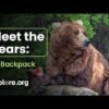 Bear #89 (Backpack) wins Fat Bear Week 2026