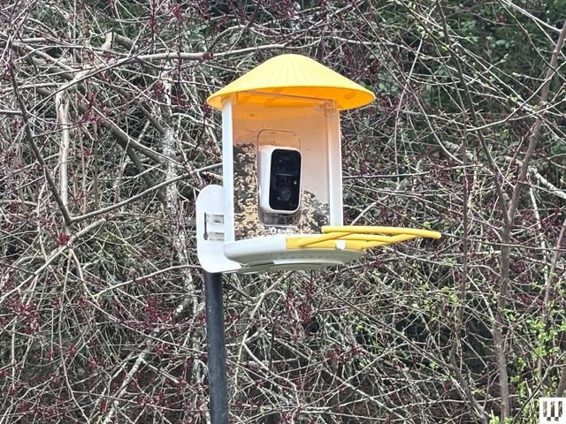 Image may contain: best smart Bird Feeder