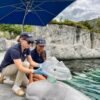 Blowhole nebulizer helps cure beluga whale’s pneumonia