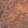 Boom Year for Desert Blooms – NASA Science