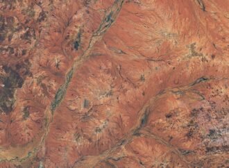 Boom Year for Desert Blooms – NASA Science