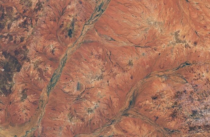 Boom Year for Desert Blooms – NASA Science