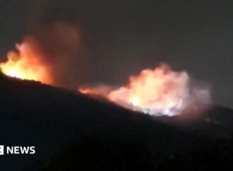 Bulgaria investigates fire at weapons  site that owner calls sabotage