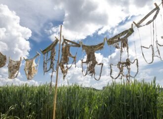 Buried underpants and a new definition of kissing win 2026 Ig Nobel prizes