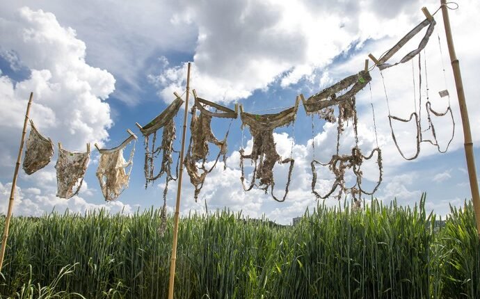 Buried underpants and a new definition of kissing win 2026 Ig Nobel prizes