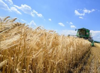 CRISPR crops are coming to Europe — why bolder would be better