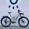 Can an ‘eSUV’ e-bike really go from trail to town?