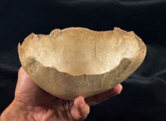 Cannibalism returned to the menu multiple times in Neolithic Europe
