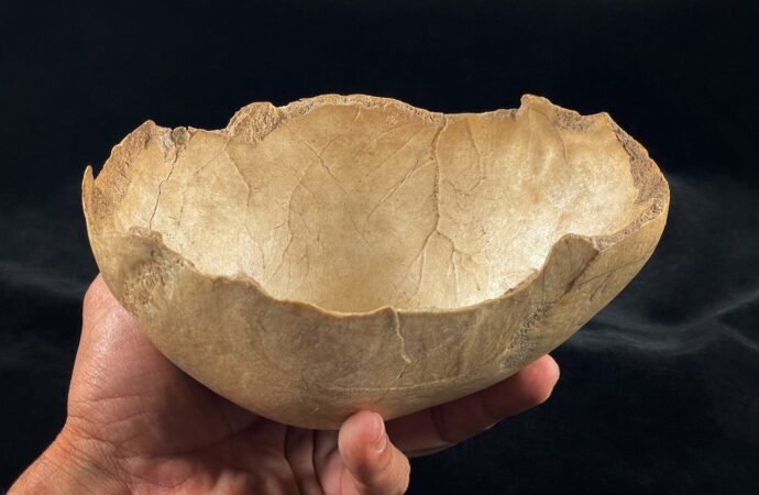 Cannibalism returned to the menu multiple times in Neolithic Europe