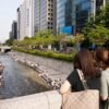 Cities and countryside are intimately linked — green initiatives must recognize that