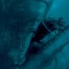 Could a whale really swallow a human? We asked a biologist.