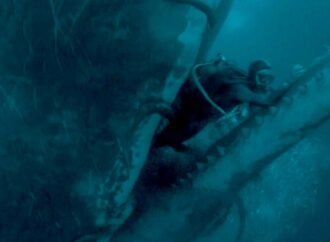 Could a whale really swallow a human? We asked a biologist.