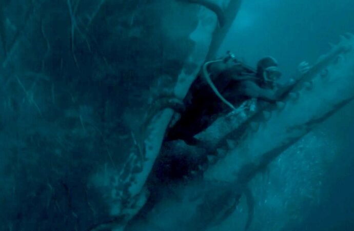 Could a whale really swallow a human? We asked a biologist.