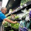 Cyclospora outbreaks expose a U.S. food safety system that’s been crumbling for decades—and Musk’s DOGE cuts are ‘only going to make that worse’ | Fortune