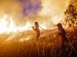 Daily briefing: How this year’s super El Niño is different