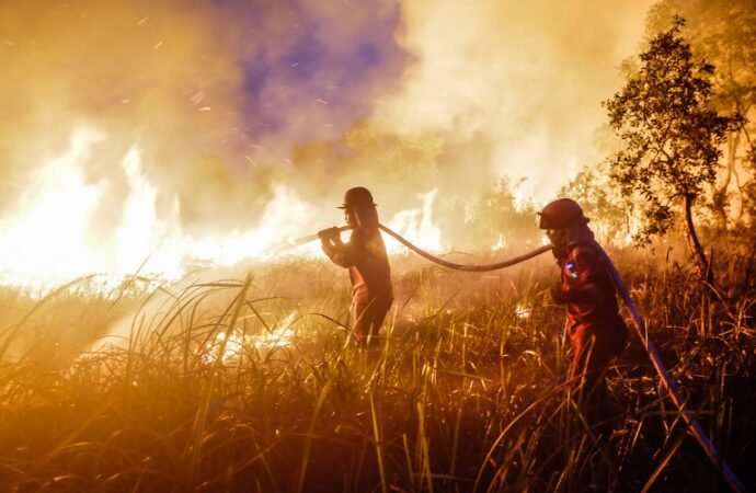 Daily briefing: How this year’s super El Niño is different
