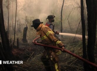 Developing El Niño becomes strongest on record weeks before expected peak