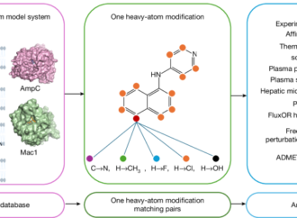 Development of a random background to understand ligand optimization – Nature